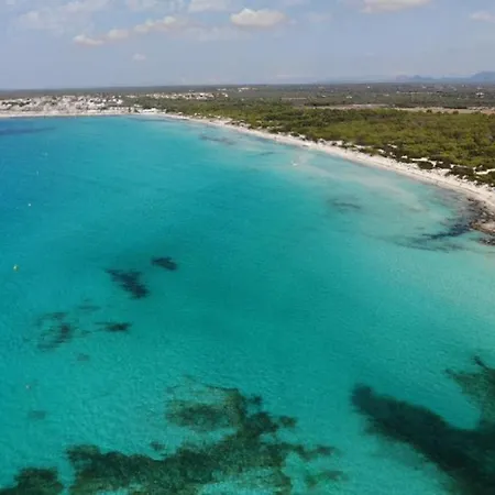 Country house Ideal Mallorca - Casa Bonita *